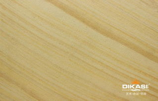 衡阳市艺术涂料招商加盟新机遇 认准帝卡斯，品质直销，信赖之选